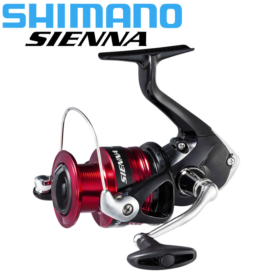 Daiwa Reel Bg - SHIMANO SIENNA 스피닝 낚시 릴 AR-C